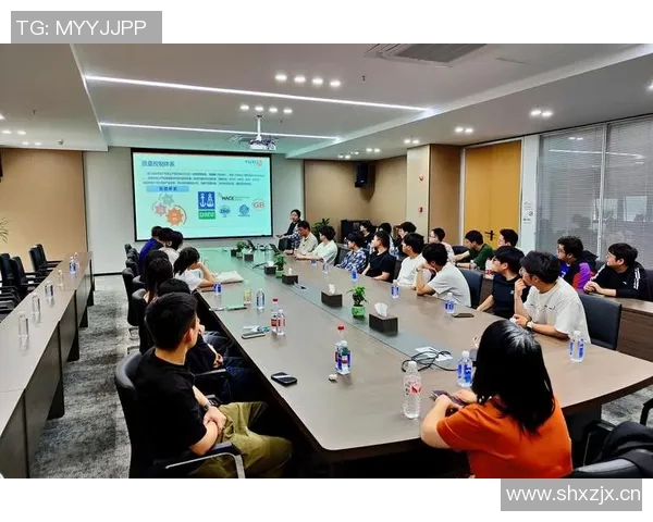 王静谈和平精英发展历程与未来展望的深度专访