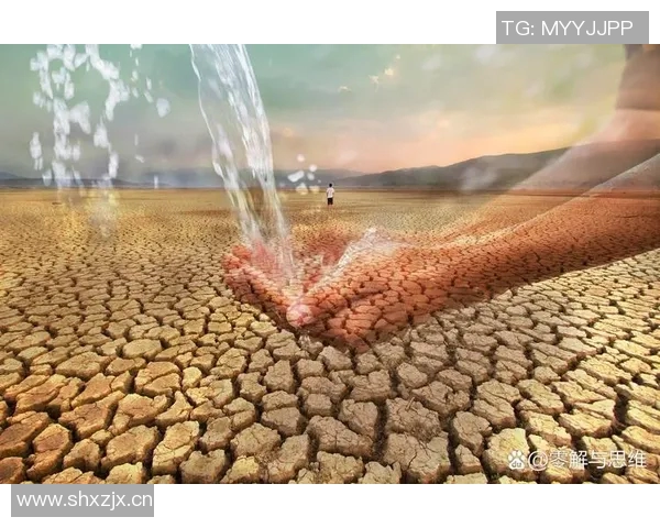 全球气候变化加剧各地极端天气事件 专家呼吁加强国际合作应对挑战