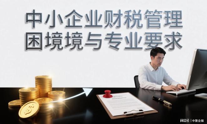 星空综合官网中聚企服:一站式财税处理计划助力中小企业轻装上阵!