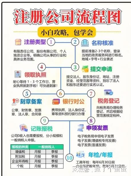星空·体育中国综合2025 年公司注册记账报税靠谱的公司：广东海豚财税公司